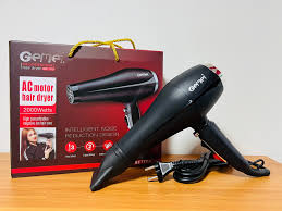 Gemei Hair Dryer