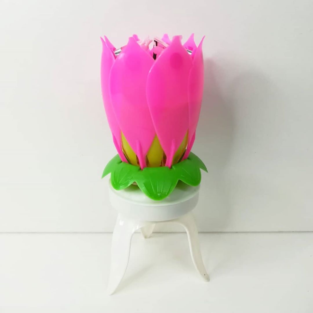 Musical Light Up Candle
